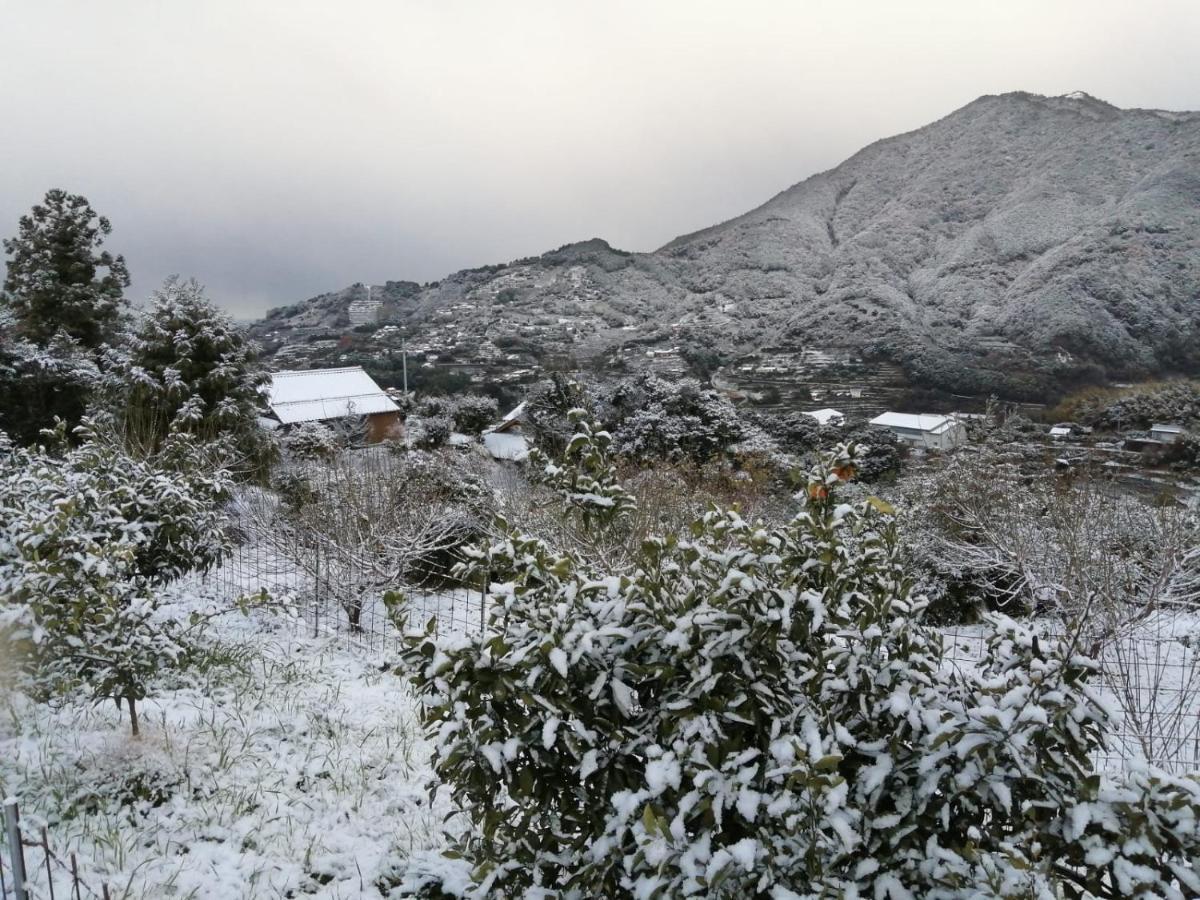 Kumano Kodo Nagano Guesthouse Танабе Экстерьер фото