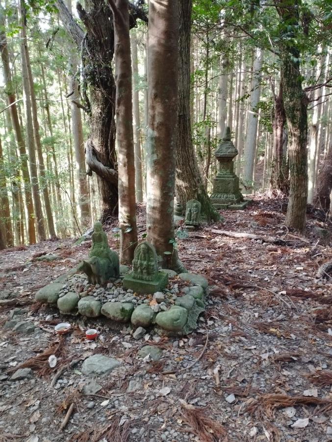 Kumano Kodo Nagano Guesthouse Танабе Экстерьер фото